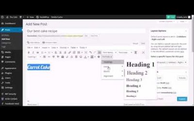 WordPress For Beginners – WordPress Tutorial – Blog Posts