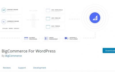 Amber POS and Woocommerce & WordPress