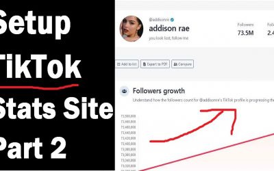 Do It Yourself – Tutorials – Building a TikTok Analytics Tracking Website [Part 2] Tutorial – CodeCanyon PHPstatistics