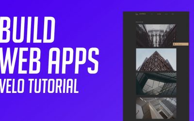 Do It Yourself – Tutorials – How to Build Professional Web Apps – Step by Step Velo Tutorial