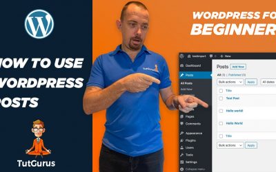 WordPress For Beginners – How to Use WordPress Posts – WordPress For Beginners 2021