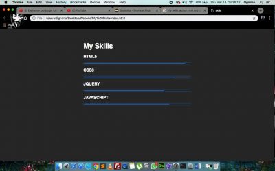 Best Animated My Skills section with HTML and CSS