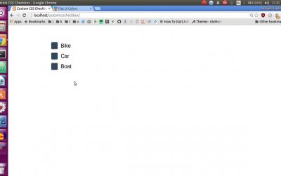 How To Customize Checkboxes With CSS