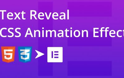 Text Reveal CSS Animation Effect | Elementor | Web Cifar 2020