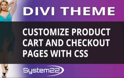 Divi Theme Customize Product Cart And Checkout Pages With CSS