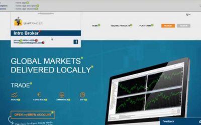 Do It Yourself – Tutorials – Forex introducing broker tutorial, how to setup your own website inside BMFN cabinet