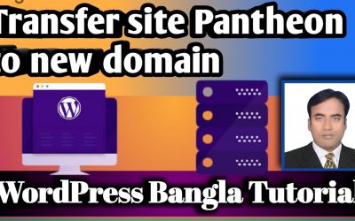 WordPress For Beginners – Transfer Pantheon site to another domain hosting based new site | WordPress Bangla Tutorial