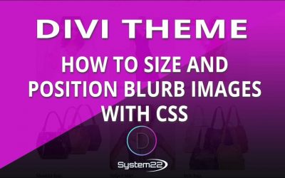 Divi Theme How To Size And Position Blurb Images With CSS 👍