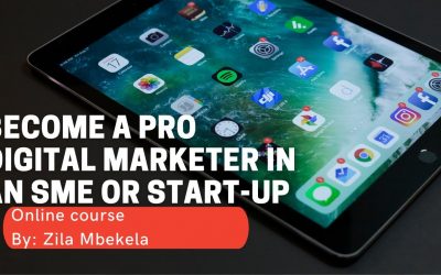 Do It Yourself – Tutorials – Web Design Demo video: Chapter 1: Become a Pro Digital Marketer in an SME or Start-up