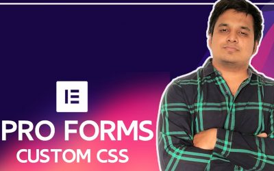 Style Elementor pro forms using Custom CSS