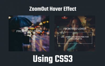 ZoomOut Hover Effect | Animated CSS Effects