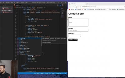 Basics of CSS – Forms 1, Text, Number, Textarea, and Submit