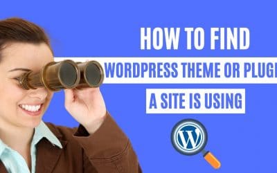 WordPress For Beginners – How to find which WordPress Theme or Plugin a site is using