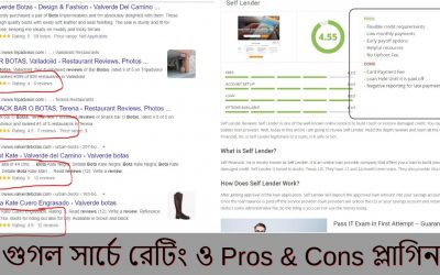 WordPress For Beginners – Review Snippet | Pros and Cons Plugin WordPress Bangla Tutorial