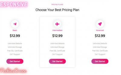 Responsive Pricing Cards with Gradient Buttons using HTML & CSS | TechiesCraze