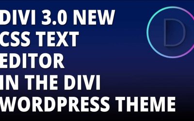 Divi 3 0 New CSS Text Editor in the Divi WordPress theme