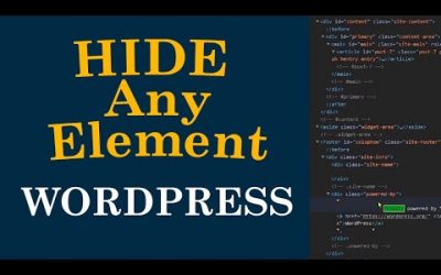 How to Hide Any Element on WordPress Website with CSS