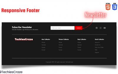 Responsive Footer with Newsletter using HTML & CSS | TechiesCraze