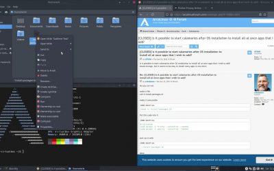 Do It Yourself – Tutorials – ArcoLinux : 2030 how to make your own installation script – what to do after a clean install