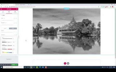 Elementor Image Mode Transition on Hover from Blackwhite to Color | CSS Filters