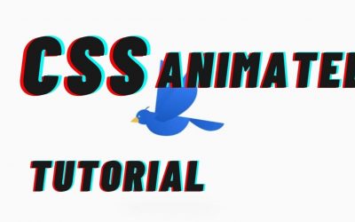 How to Create Animated Birds On A Web App with CSS! Part ONE!