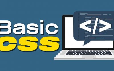 Basic CSS That Every WordPress User Needs to Know