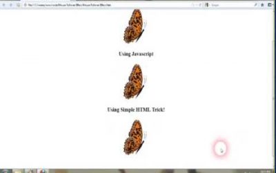 JavaScript Image Rollover, Html Css Image Rollover, Mouse Rollover Image Effects