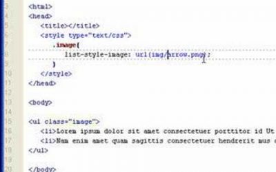 CSS List Style Image