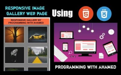 Create your own responsive image gallery web page using |HTML and CSS|without Javascript[Web series]