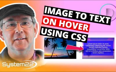 Divi Theme Image To Text On Hover Using CSS 👍👍👍