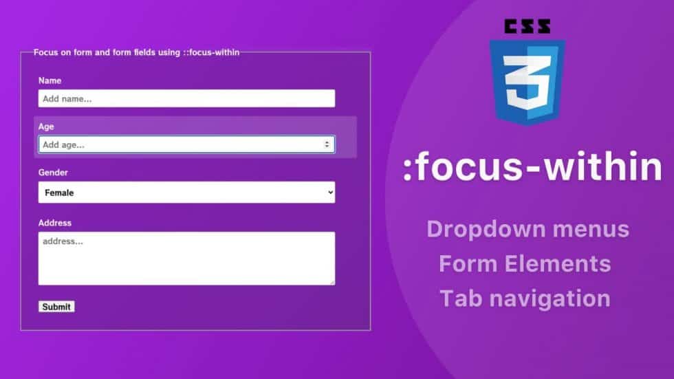 css-focus-within-pseudo-class-use-cases-dieno-digital-marketing