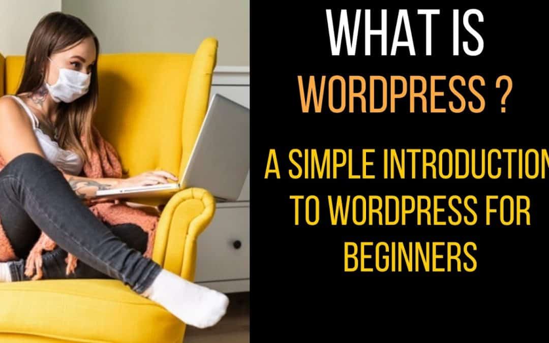 WordPress For Beginners – What is WordPress? A Simple Introduction to WordPress for beginners