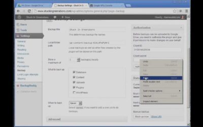 Backup WordPress Plugin, howto install and configure this free plugin