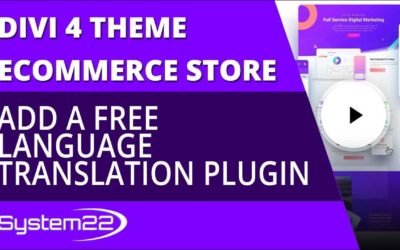 Divi 4 Ecommerce Add A Free Language Translation Plugin 👍