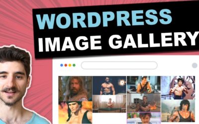 Envira Gallery Tutorial: WordPress Image Gallery Plugin