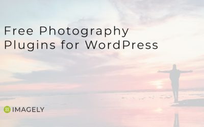 Free Photography Plugins for WordPress