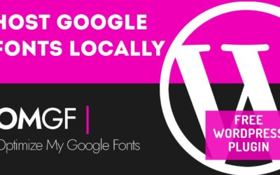 Host Google Fonts Locally With The OMGF WordPress Plugin – FREE