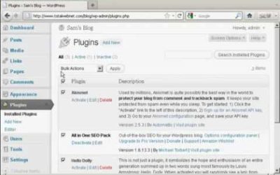 Watch  WordPress how to  Update plugins – WordPress Plugin Update