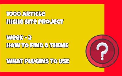 1000 Niche Site Week – 2: What Theme and Plugin Should You Be Using on Your Niche Site?