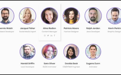 Best WordPress Team Members Plugin – Team Members | Best WordPress Plugins | 2020