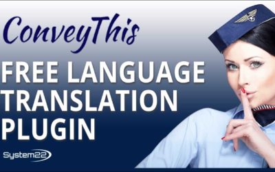 Conveythis Free Language Translation Plugin 👈