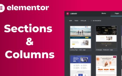 Elementor Sections & Columns Tutorial | How to Create, Edit & Delete | WordPress Elementor (2022)