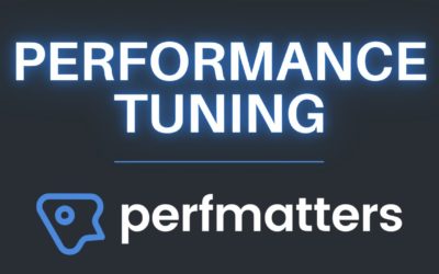 How to Fine-Tune WordPress Performance with the Perfmatters Plugin