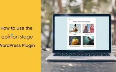 How to Use the Opinion Stage WordPress Plugin