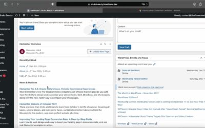 How to Work with the WordPress Admin Dashboard