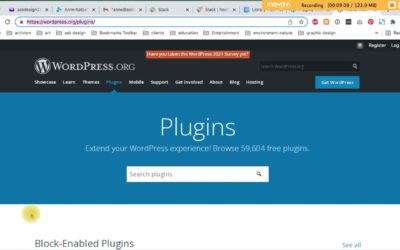 Installing WordPress Plugins