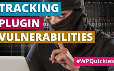 Tracking WordPress Plugin Vulnerabilities – WPQuickies