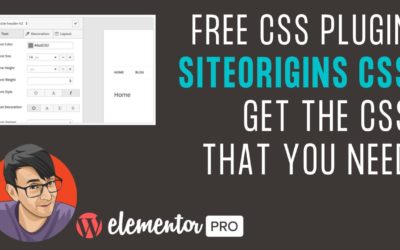 Use SiteOrigins CSS Free Plugin to get the CSS you need