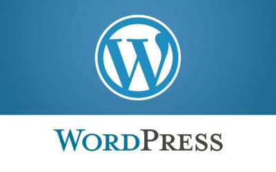 WordPress. How To Work With Appointments (Based On Booked Plugin)