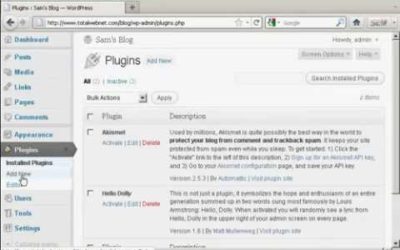 WordPress Plugin Installation [Install WordPress Plug-Ins]